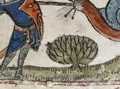 Knights Snails. What's About?