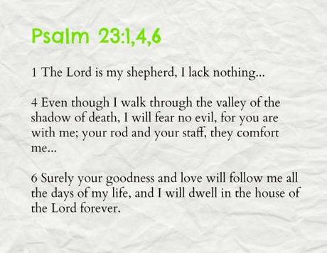psalm 23146