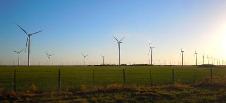 A wind farm near Abeline, Texas. (Credit: Flickr @ Corey Taratuta http://www.flickr.com/photos/onthewhiteline/)