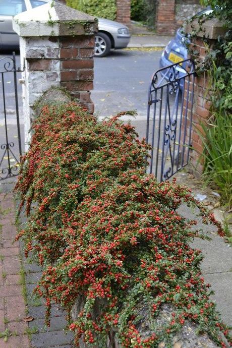 End of Month View – September 2013 _DSC0806 (533x800)