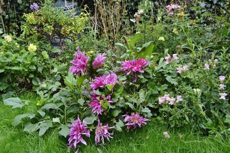 End of Month View – September 2013 _DSC0819 (800x533)