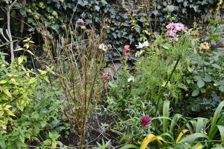 End of Month View – September 2013 _DSC0821 (800x533)