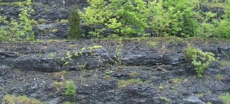 Hydraulic Fracturing Sites Can Be Used For Greenhouse Gas Storage Marcellus exposure along Interstate 80 in eastern Pennsylvania where the formation is thickest. (Credit: Dhaluza http://commons.wikimedia.org/wiki/User:Dhaluza)