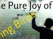 Growing with Children: Loving Birds