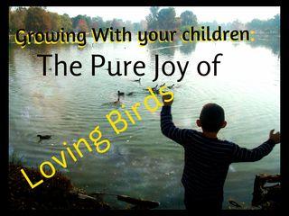 I have spent many years loving birds with my children: the joy just continues to grow.