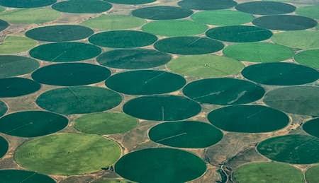 Dusty Deltas, Roaring Dams And Alien Landscapes