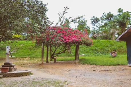 Liberia Orphanage | Ashlee Gadd Photography-3