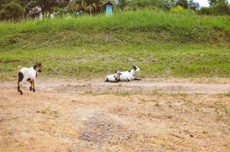 Liberia Orphanage | Ashlee Gadd Photography-5