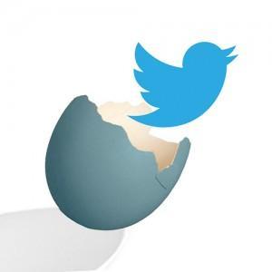 Twitter Egg