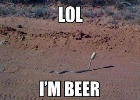 beer-snake