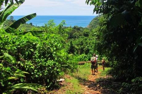 The sleepy village of Juara, Tioman Island