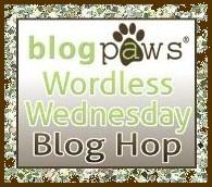 Wordless Wednesday