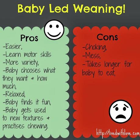 The pros & cons of baby led weaning!
