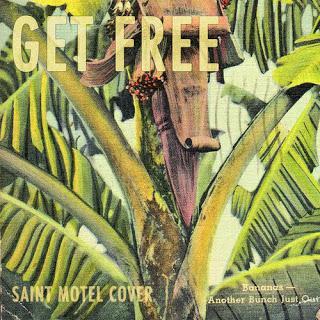 Download Saint Motel's Cover of Major Lazer's 