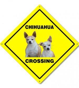 Dog Crossing the Road dog crossing the street