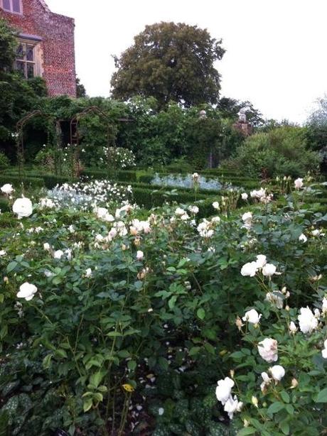 the roses in flower at sissinghurst