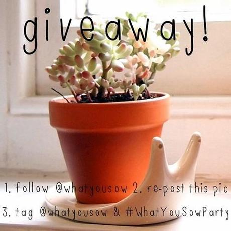 Here is the first of many instagram giveaways to celebrate What...