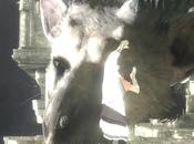 S&amp;S; News: Sony Waiting Right Time Re-introduce Last Guardian, Yoshida Reiterates