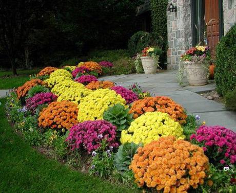 Simone Design Blog|Autumn Curb Appeal: Why I Love October