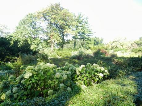 Fort Tryon Park and the Cloisters