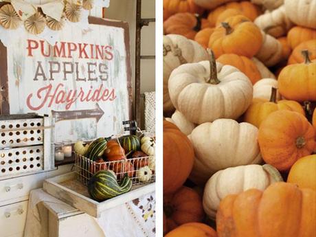 pumpkins-aples-hayrides