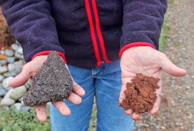 What do these two specimens have in common?