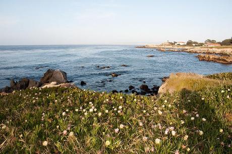 california 2013-36