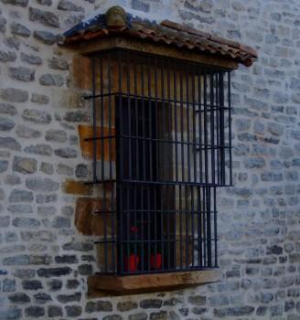 salvatierra15