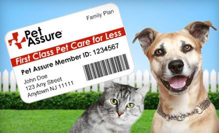 pet insurance