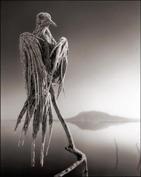 killer-lake-bird-statues-2
