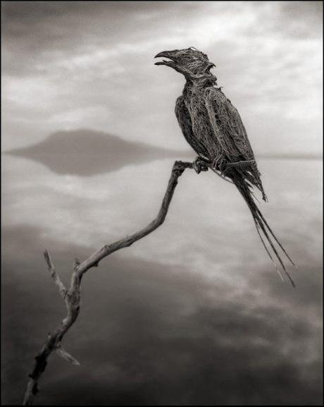 killer-lake-bird-statues-5