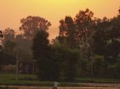 #FriFotos #Fields Broowwnnn Greeyy..