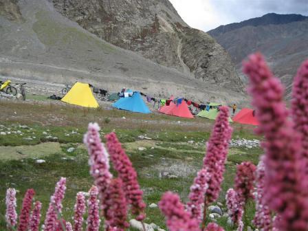 One of my favorite campsites. Most of the summer flowers were over this year, however these pinks were still colouring the mountain slopes shades of mauve. 