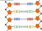 Free Planet Rantorial STRUCTURE LIFE, NARRATIVE