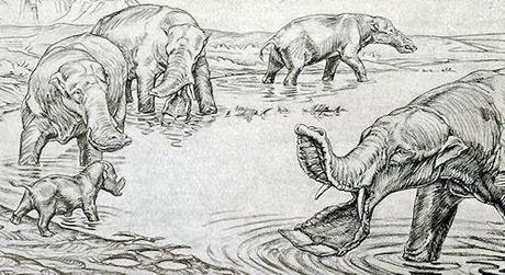 Prehistoric Elephant Had A Huge Spork For A Mouth