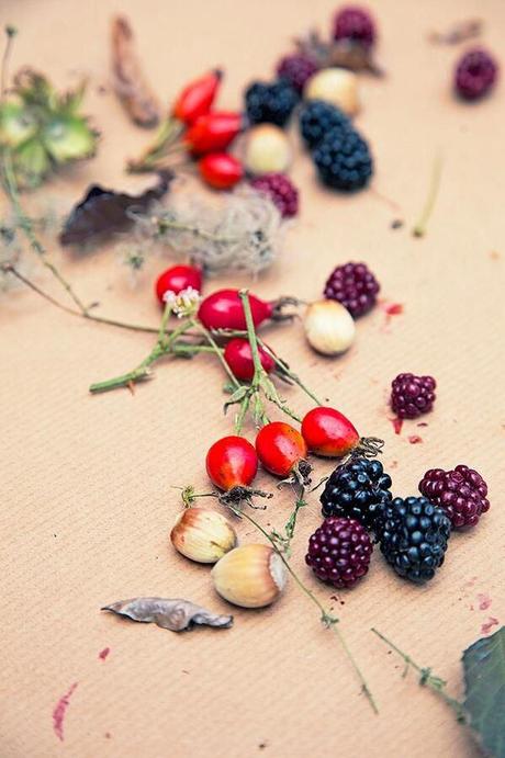 Autumn berries - http://www.pinterest.com/pin/182466222376157911/