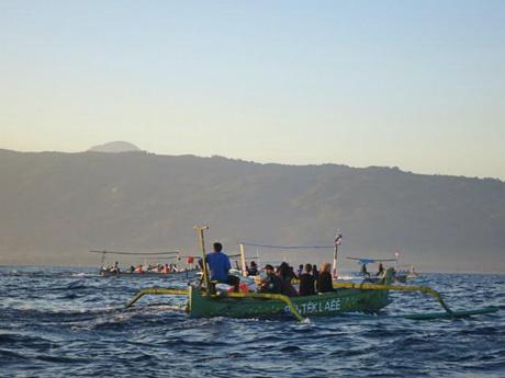 dolphins hunt lovina bali