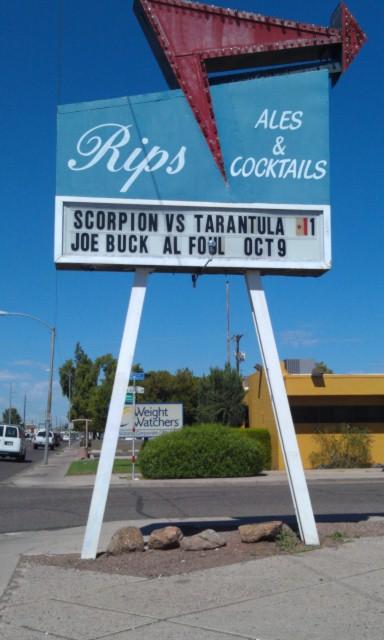 probestpestmanagementIMAG0873