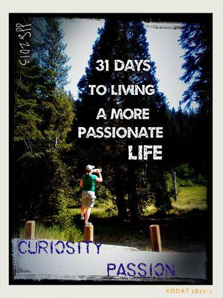 31 days day 5curiosity and passion