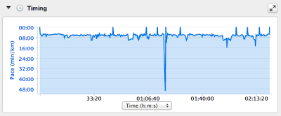 Race Report: Harvest Half Marathon 2013