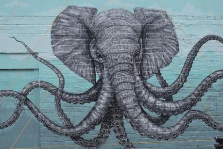 Alexis Diaz - Elephant Octopus