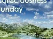 This Week Learned....