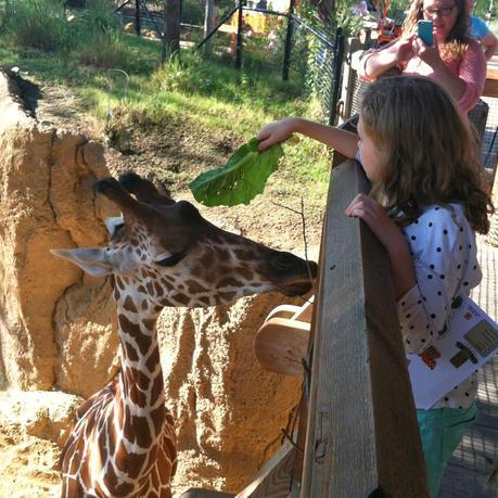 Discover the animal in you at Dallas Zoo