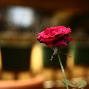 Les_Caves_Taillevent_Beirut22