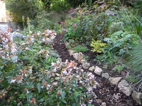 The Cottage Border on the left and bottom of Big Border on the right