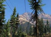 Watch: Drool-Worthy Time-Lapse Video