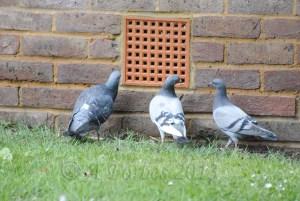 28-10-october-6th-2013