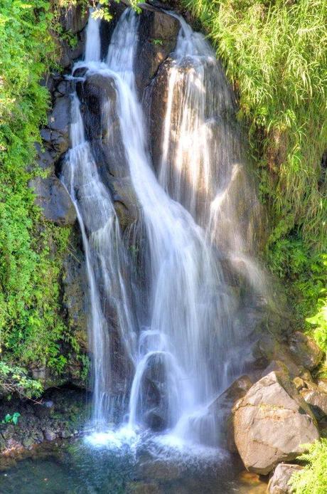 Hawaiian Waterfall