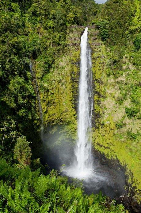 Akaka Falls, Hilo, Hawaii