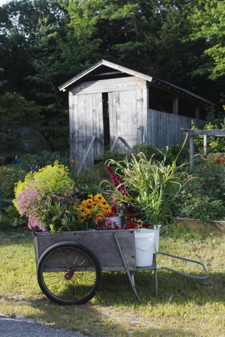 Maine Flower Cart
